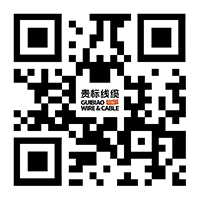 1763103852361779.png httpvelocityexercise.com - 副本.png
